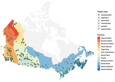 A resistome survey across hundreds of freshwater bacterial communities reveals the impacts of veterinary and human antibiotics use